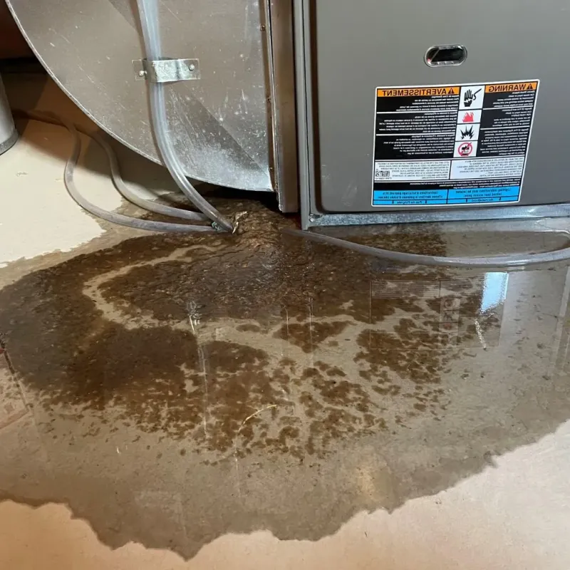 Pipe Burst and Leak Restoration in Lampeter, PA
