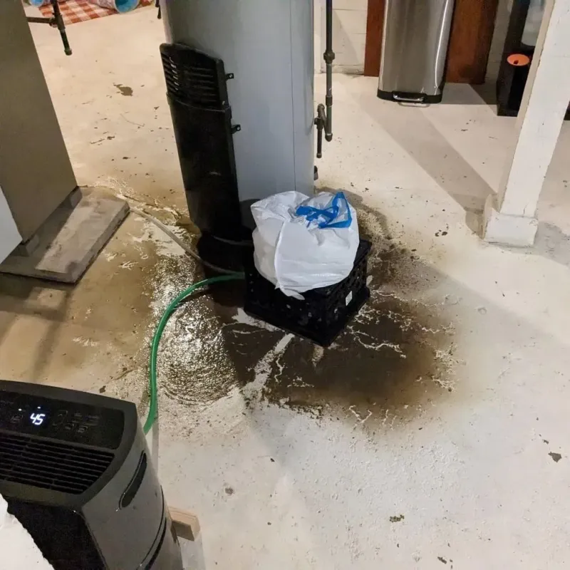 Sewage Backup Cleanup Service in Lampeter, PA